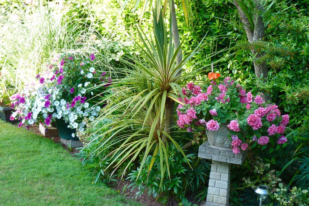 Cloudlands Guest House Torquay Kültér fotó